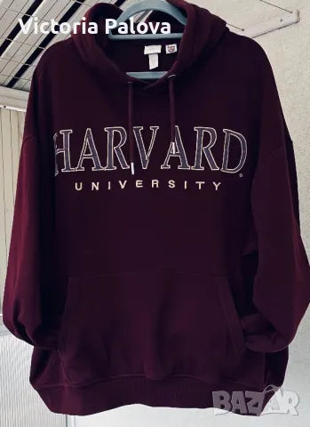 Exchange Hoodie / Sweatshirt HARVARD Bordeaux Unisex