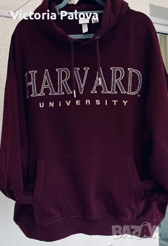 Exchange Hoodie / Sweatshirt HARVARD Bordeaux Unisex