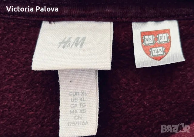 Exchange Hoodie / Sweatshirt HARVARD Bordeaux Unisex